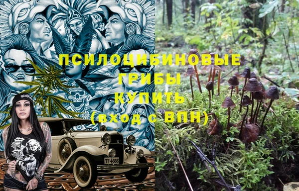 гидра Баксан
